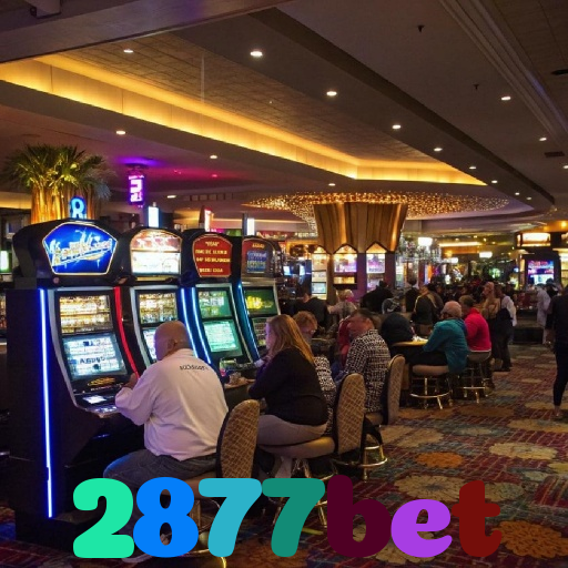 2877bet
