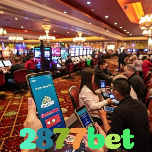 2877bet