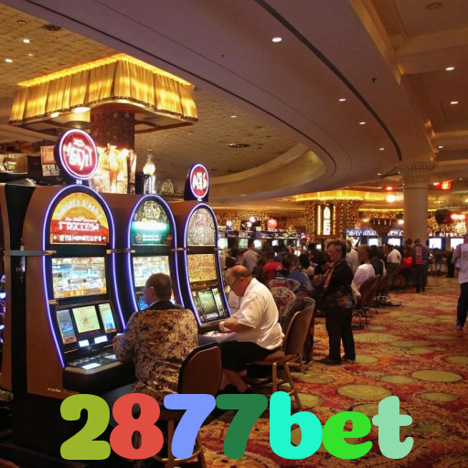2877bet