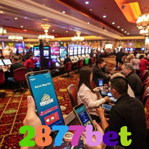 2877bet