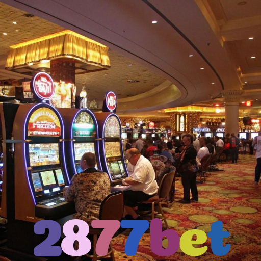 2877bet
