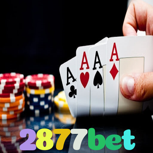 2877bet