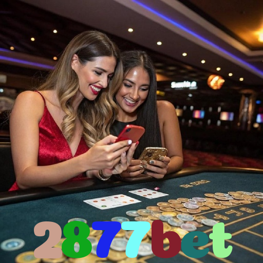2877bet