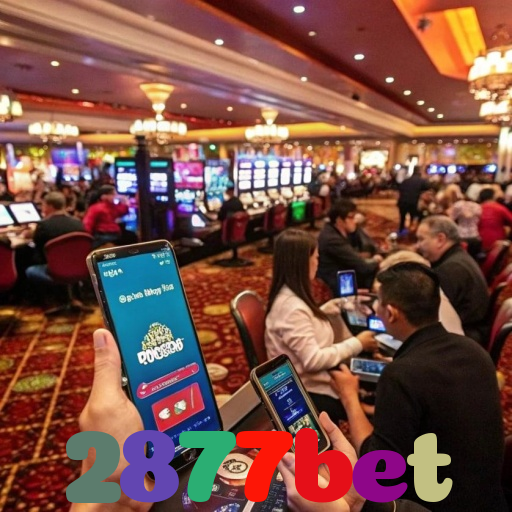 2877bet