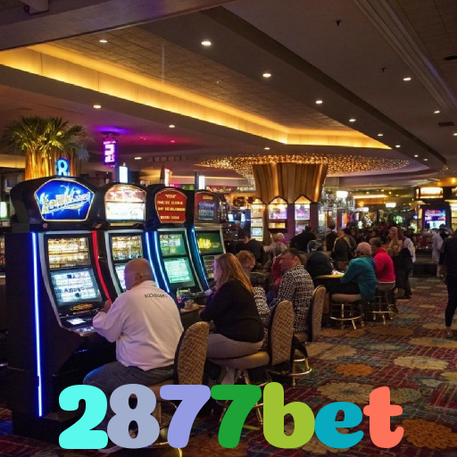 2877bet