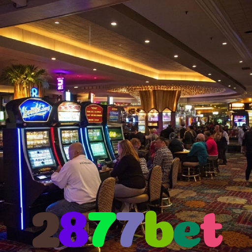 2877bet