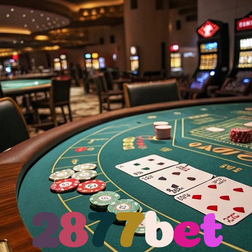 2877bet