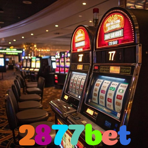 2877bet