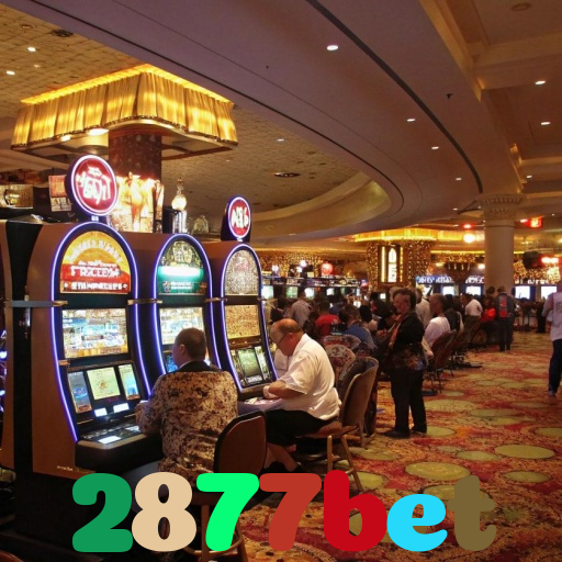 2877bet