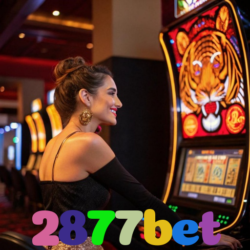 2877bet