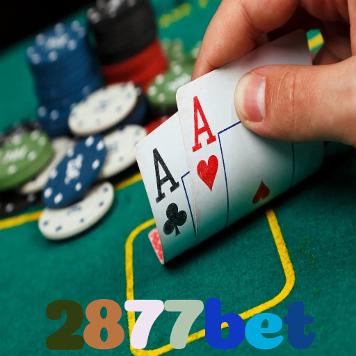 2877bet