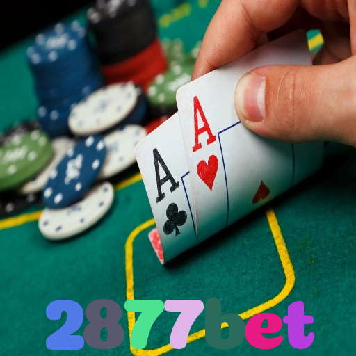 2877bet