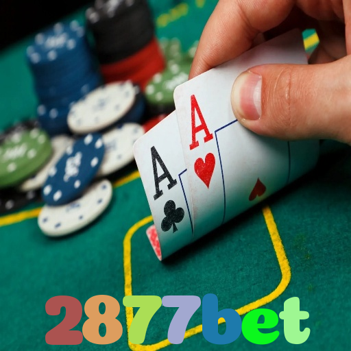 2877bet