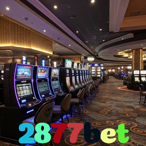 2877bet