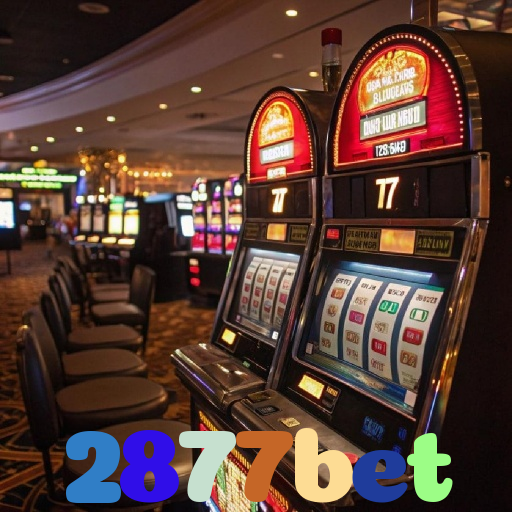 2877bet