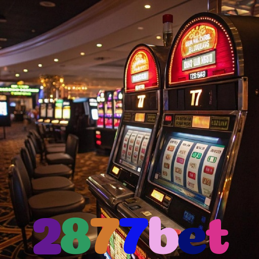 2877bet