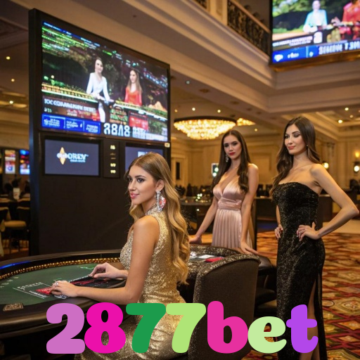 2877bet