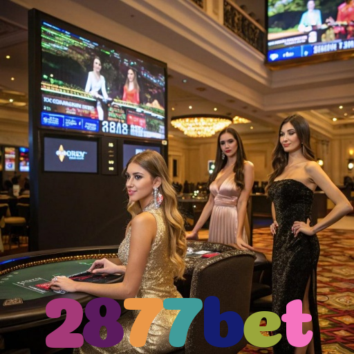 2877bet
