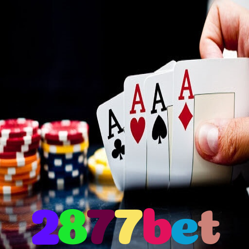 2877bet