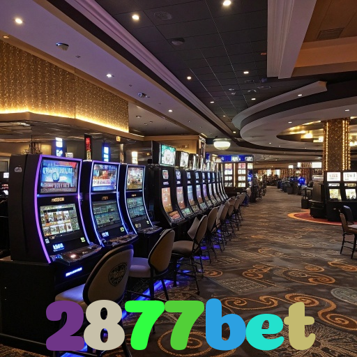 2877bet