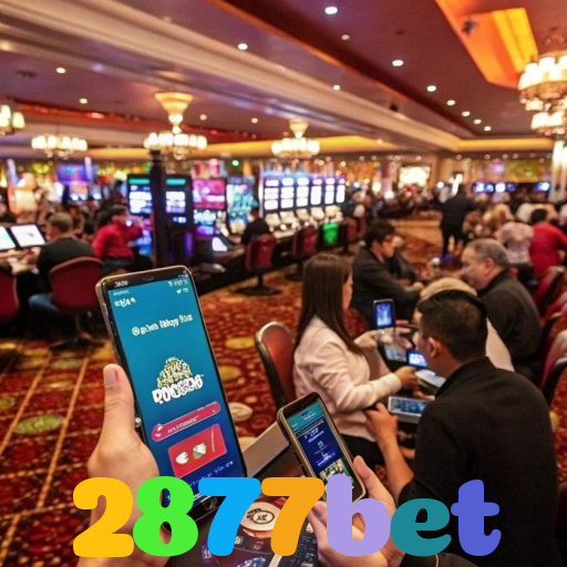 2877bet