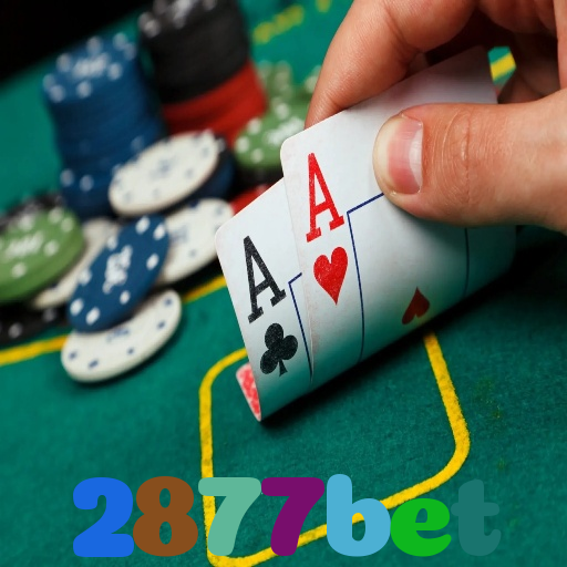 2877bet
