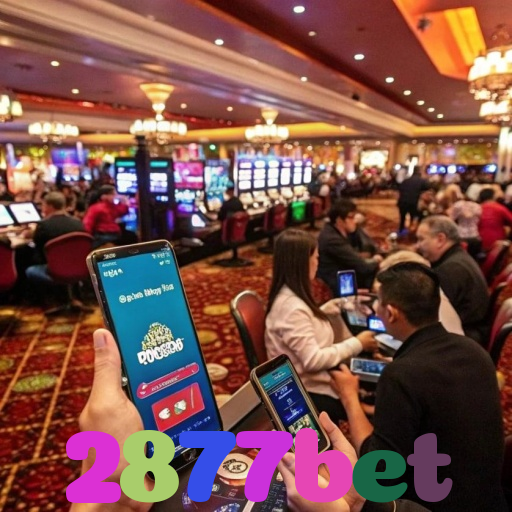 2877bet