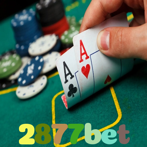 2877bet