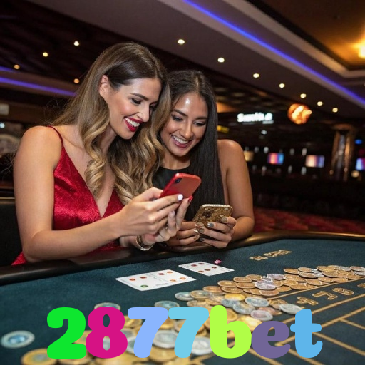 2877bet