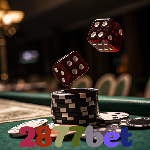 2877bet