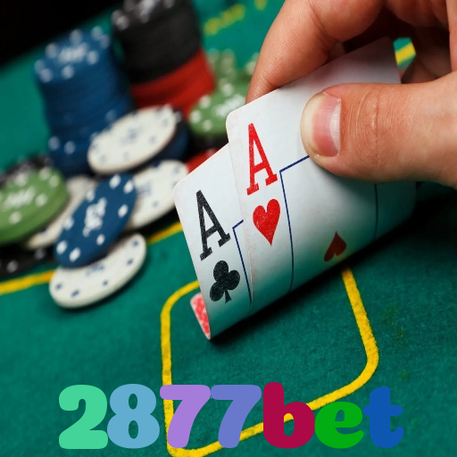2877bet