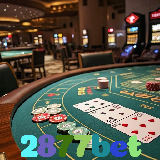 2877bet