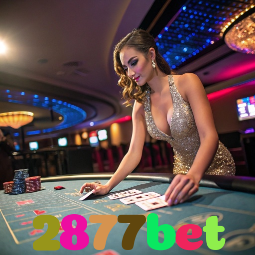 2877bet