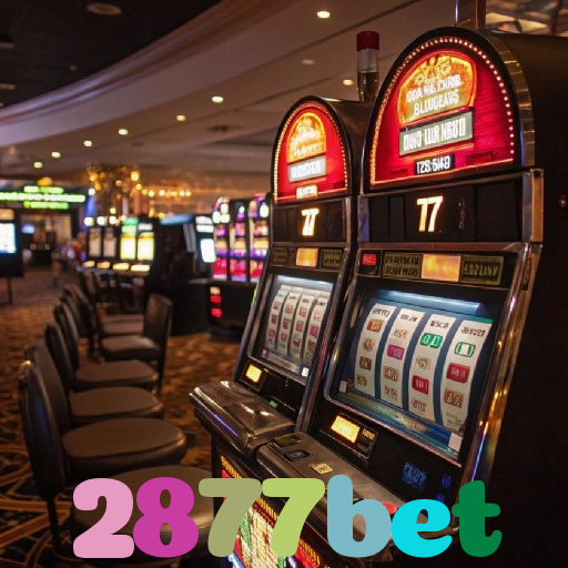 2877bet