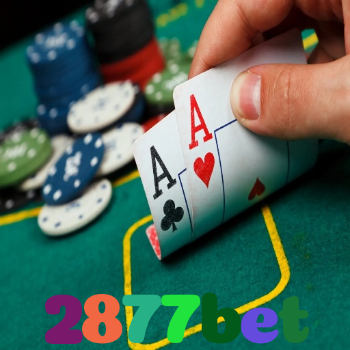 2877bet