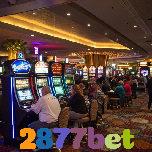 2877bet