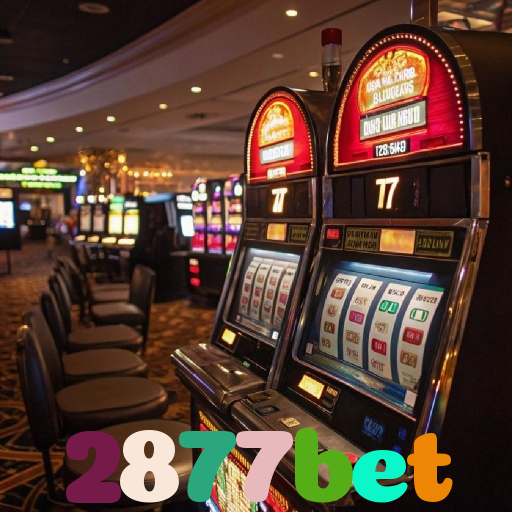 2877bet