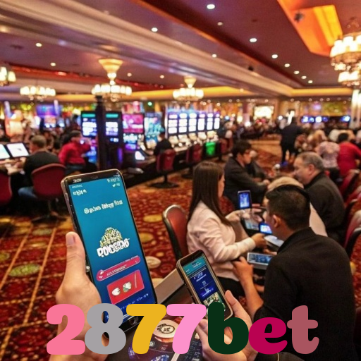 2877bet