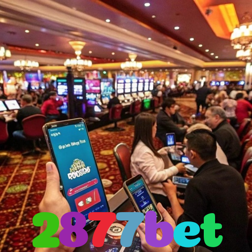 2877bet