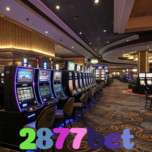 2877bet