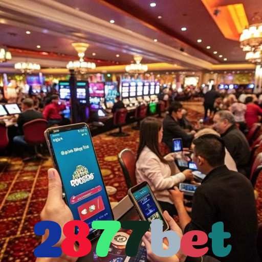 2877bet