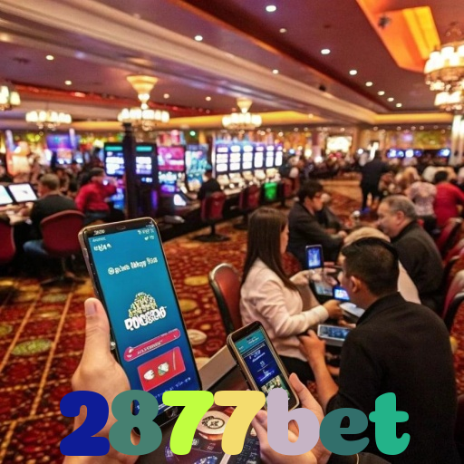 2877bet