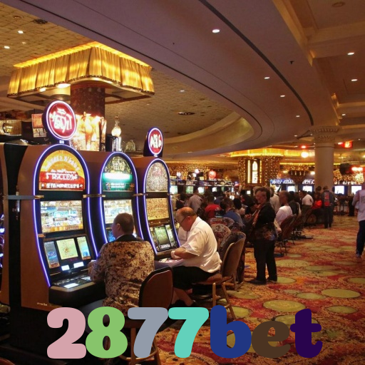 2877bet