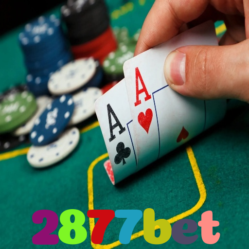 2877bet