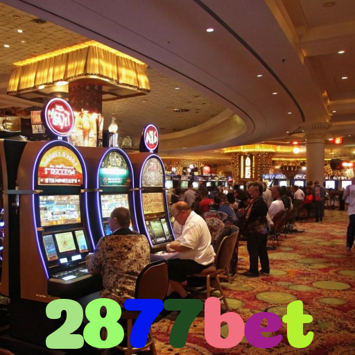2877bet