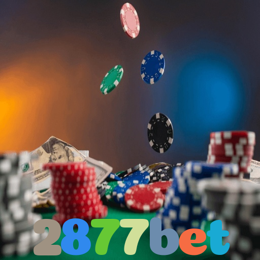 2877bet