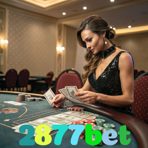 2877bet