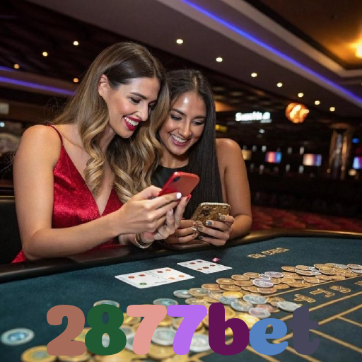 2877bet