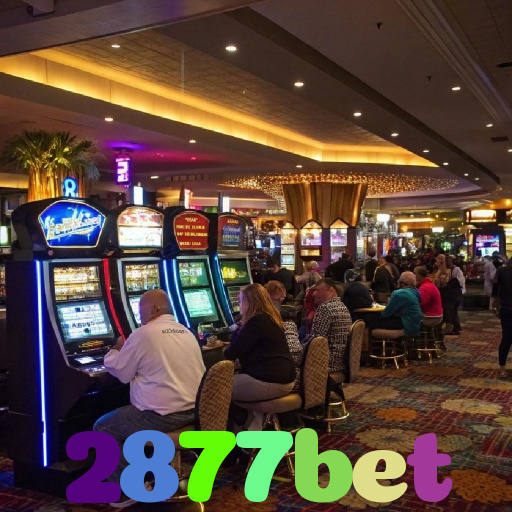 2877bet