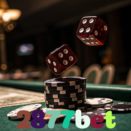 2877bet